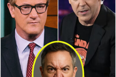 Fox News Host Greg Gutfeld and the ‘Gutfeld!’ Team Expose the Media Cover-Up: How Stupid Does MSNBC Think We Are?