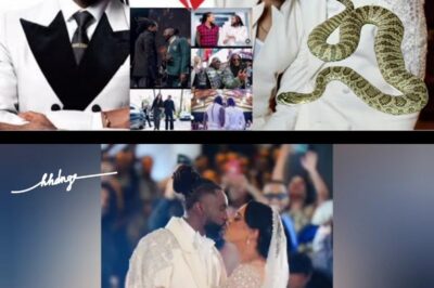 Lily Java: Snake Is Breaking Up