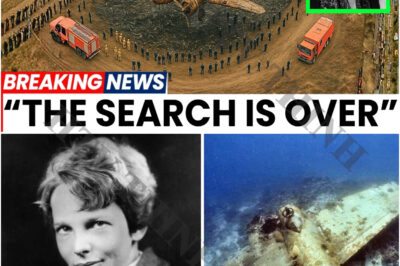 After 88 Years, Amelia Earhart’s Plane Was FINALLY Found!