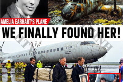 The Chilling Mystery of Amelia Earhart: New Evidence That May Finally Solve the 88-Year-Old Disappearance