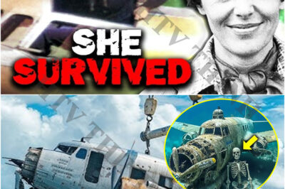 Amelia Earhart’s Plane Suddenly Reappeared After 87 Years Of Going Missing! Finally Found