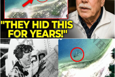 Before He Dies, Rick Gillespie Reveals Where Amelia Earhart’s Plane Was Really Found