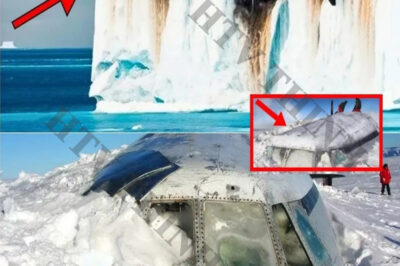 Scientists Find Plane Buried in Arctic Ice. What They Found Inside Is Unbelievable!