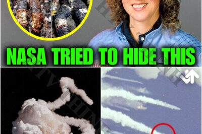 What Happened to the Bodies of the Challenger Disaster Crew