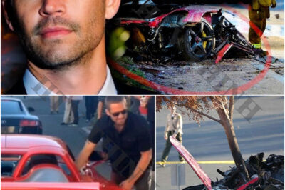 Inside the horrific crαsh thαt took Pαul Wαlker forever, the world is now being told the truth …