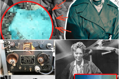 The Persistent Mystery of Amelia Earhart’s Crashed Plane: New Discoveries May Finally Solve One of America’s Greatest Aviation Puzzles