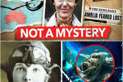 Amelia Earhart’s Final Flight: The Tragic Journey That Changed Aviation History, What Actually Happened To Amelia Earhart?