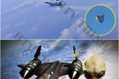 Astronauts Spot a Plane That Accidentally Ended up in Space – Then They Look Closer