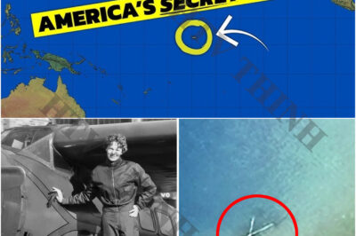 Amelia Earhart’s plane likely located in lagoon, research team says with “very strong” evidence