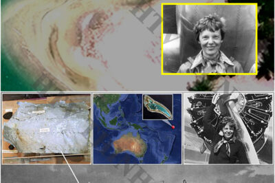 Can you find Amelia Earhart’s plane on satellite view if you follow like this…