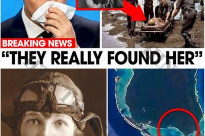Amelia Earhart’s Plane was Just Found! The Location Will Shock You