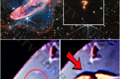 3 TERRIFYING Objects Detected by James Webb Telescope in Deep Space: The Mysterious Object Heading Toward Earth