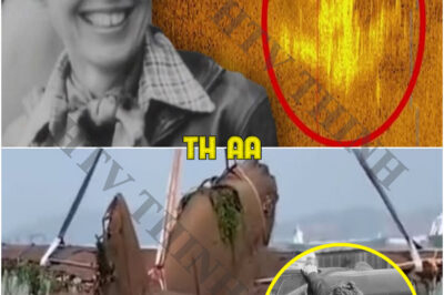 Breaking: The Intriguing Discovery Amelia Earhart’s Lost Aircraft Artifacts Found After 88 Years.