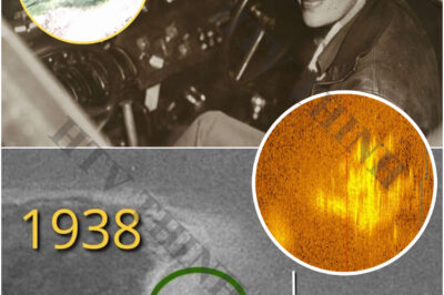 Aerial footage from 1938 provides ‘very strong’ evidence of Amelia Earhart’s long-lost plane: researchers