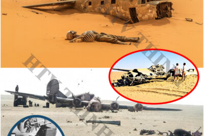 The Mysterious Disappearance of the Lady Be Good: A WWII Tragedy Uncovered