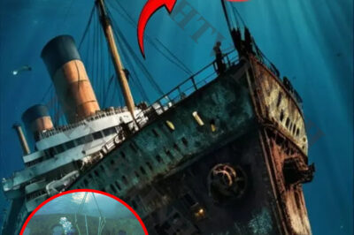 Underwater Drone Descended Into the Titanic — And the Footage Shocked the Entire World