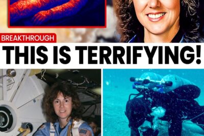 NEW AI THERMAL SCAN CLAIMS TO REVEAL THE “LOST MOMENTS” OF THE CHALLENGER CREW — AND THE RESULTS ARE ABSOLUTELY CHILLING