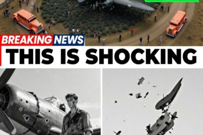 MISSING WW2 STIRLING BOMBER LJ850 FOUND UNDER A FARMER’S FIELD — AND WHAT EXPERTS UNCOVERED LEFT THEM SPEECHLESS