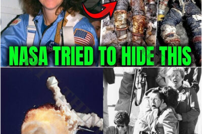Things You Didn’t Know About The Challenger Disaster That Will Blow Your Mind