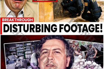 Pablo Escobar’s Secret Vault Finally Opened — What They Found Inside Is Beyond Imagination