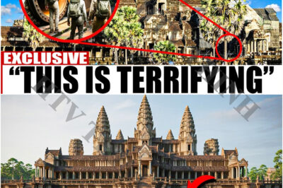 🚨 Archaeologists Discover Hidden Vault Beneath Angkor Wat — And It Could Change Everything We Know About History