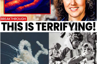 NEW AI THERMAL SCAN UNCOVERS THE FATE OF THE CHALLENGER CREW — AND IT’S MORE HEARTBREAKING THAN ANYONE IMAGINED